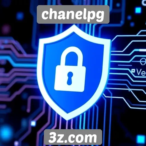 Estudo sobre a segurança das transações no chanelpg